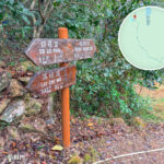 榕樹凹村 • 村口｜壹