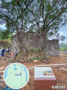 榕樹凹村《巨大細葉榕》｜壹