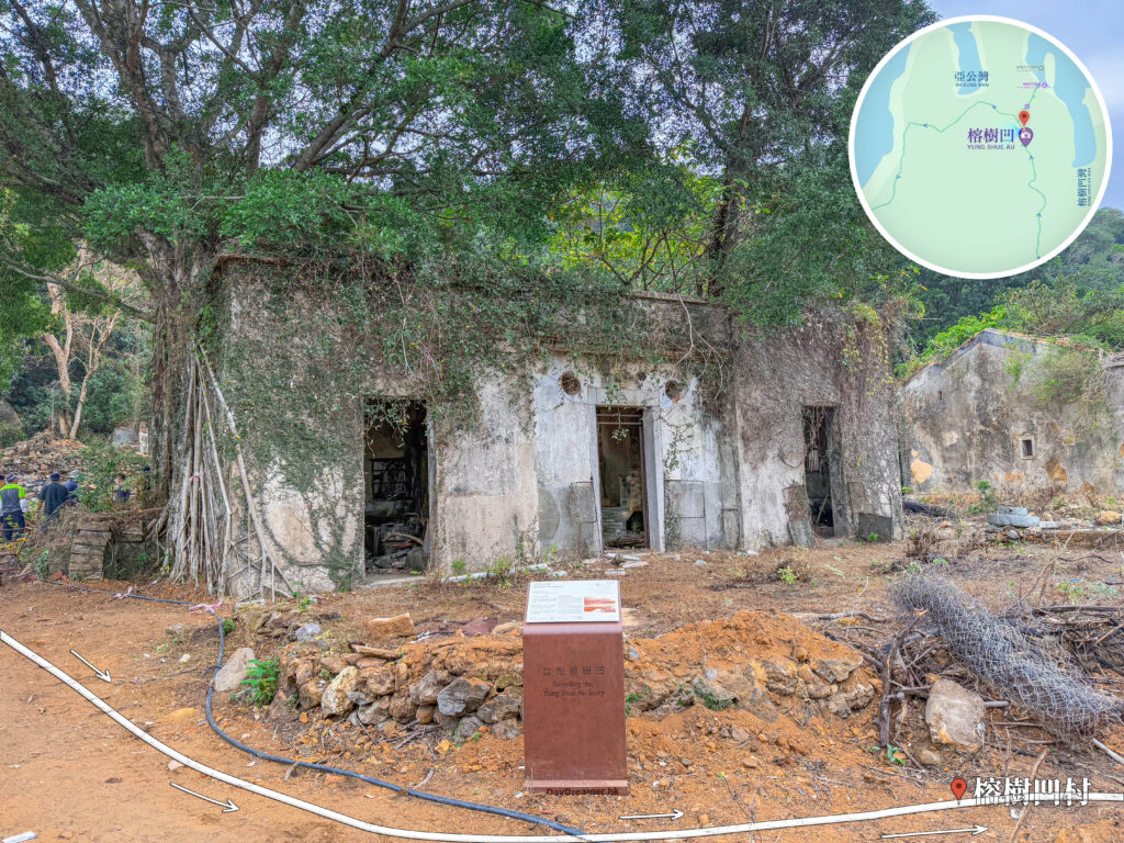 榕樹凹村《巨大細葉榕》｜貳