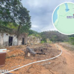 榕樹凹村《巨大細葉榕》｜叄