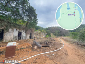 榕樹凹村《巨大細葉榕》｜叄