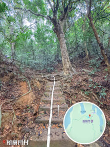 榕樹凹－谷埔徑《2》｜壹