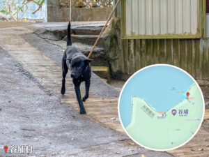 谷埔《松記士多》｜🐶 黑仔