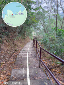 鳳坑－鹿頸徑《林蔭大道》